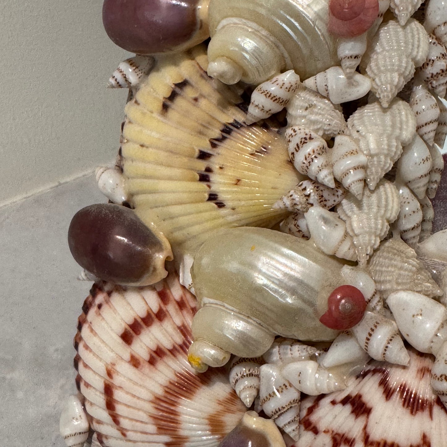 Vintage Seashell wall mirror